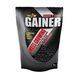 Gainer - 1000g Wild Berry 2023-10-6109 фото 1