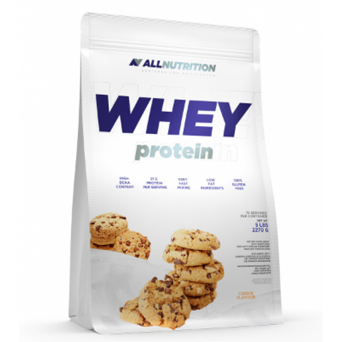 Whey Protein - 2270g Chocolate Orange 100-13-2777195-20 фото