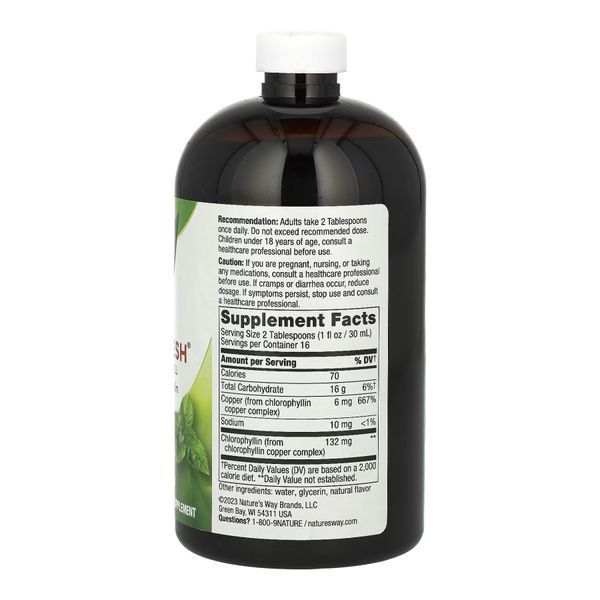 Chlorofresh&reg; Liquid - 16 oz Mint 2023-10-2173 фото